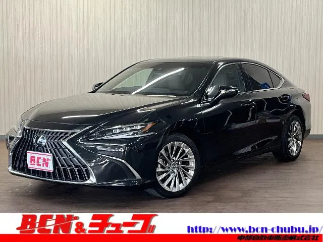 Lexus ES ES300H VERSION L — миниатюра 1