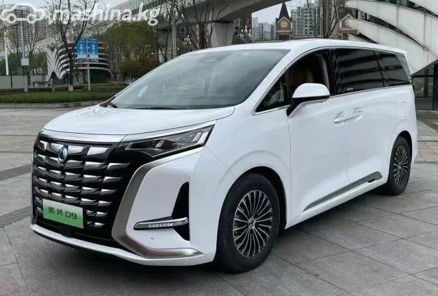 Denza D9 — миниатюра 1