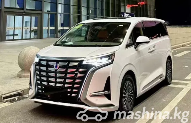 Denza D9 — миниатюра 1