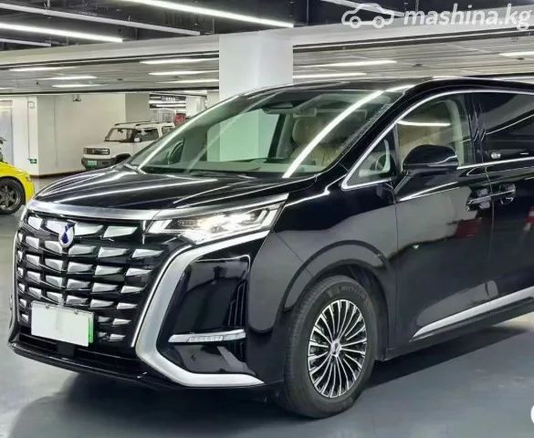 Denza D9 — миниатюра 1