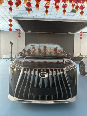 GAC Trumpchi Trumpchi M8 — миниатюра 1