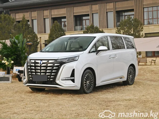 Denza D9 — миниатюра 1