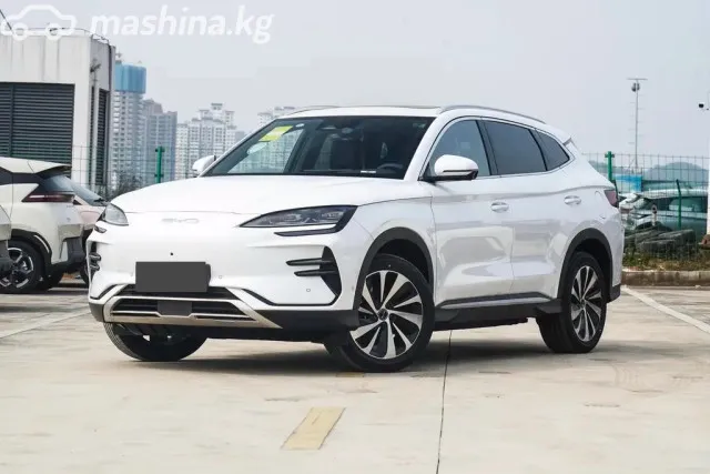 BYD Song Plus 2024 — миниатюра 1