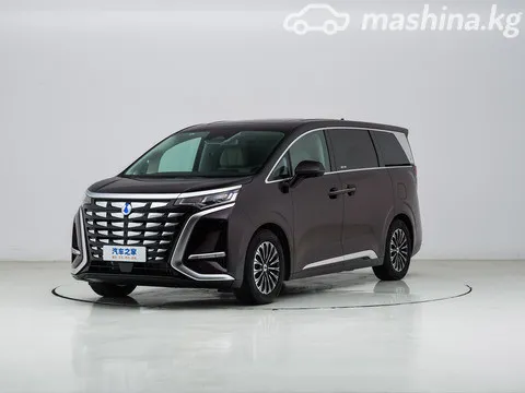 Denza D9 — миниатюра 1