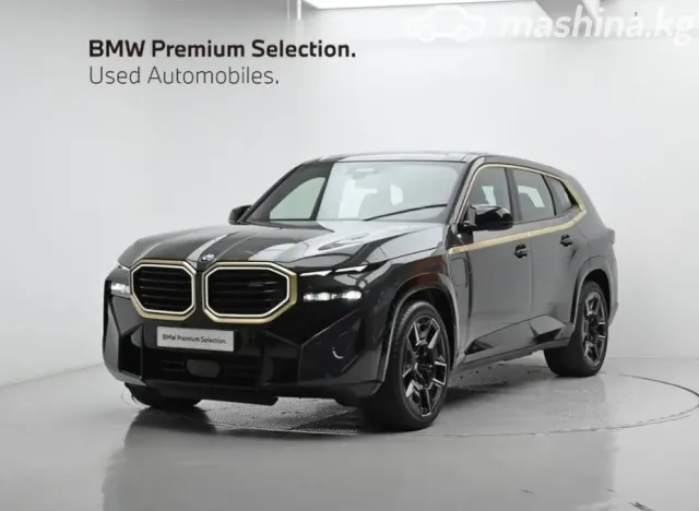 BMW XM — миниатюра 1