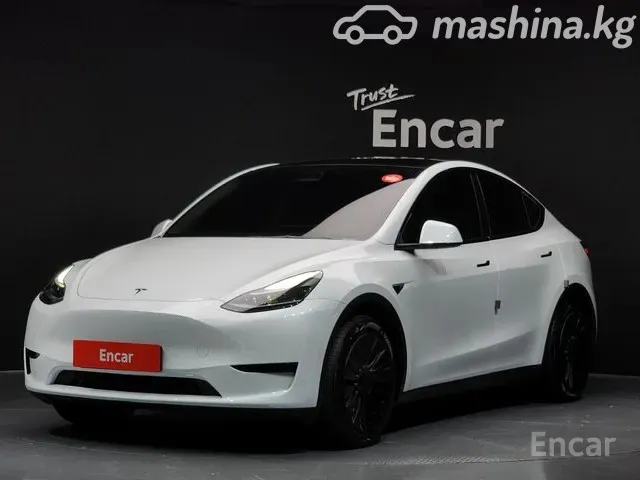 Tesla Model Y — миниатюра 1