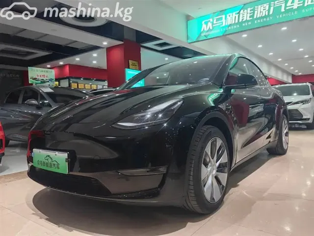Tesla Model Y — миниатюра 1
