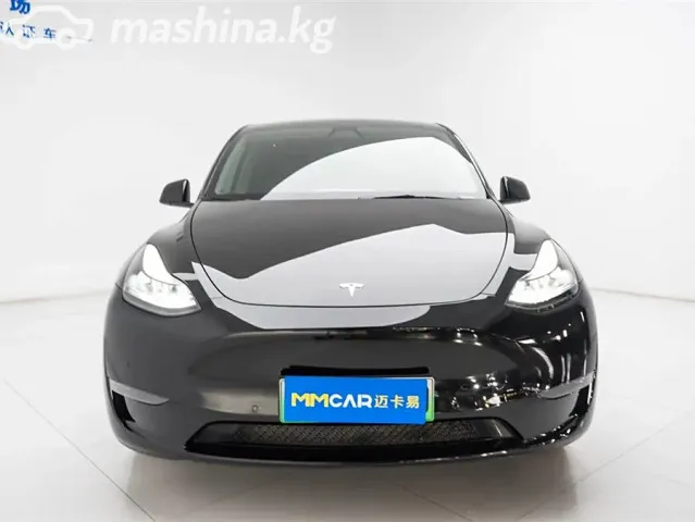 Tesla Model Y — миниатюра 1