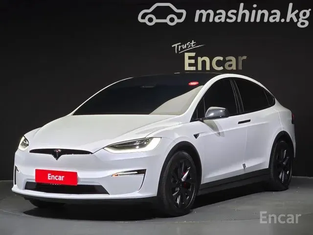 Tesla Model X — миниатюра 1