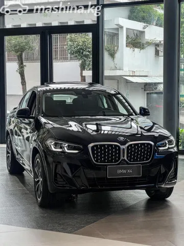 BMW X4 — миниатюра 1