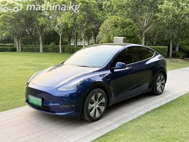 Tesla Model Y — миниатюра 1