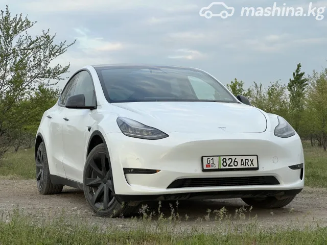 Tesla Model Y — миниатюра 1