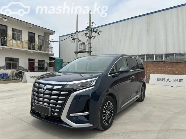 Denza D9 — миниатюра 1