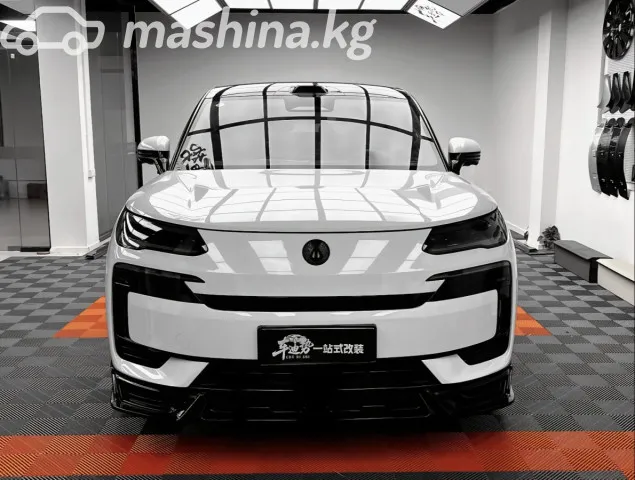 Denza N9 — миниатюра 1