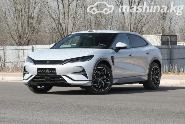 BYD Song L — миниатюра 1