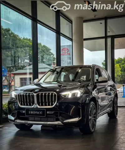 BMW X1 — миниатюра 1