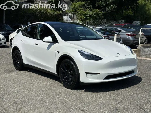 Tesla Model Y — миниатюра 1