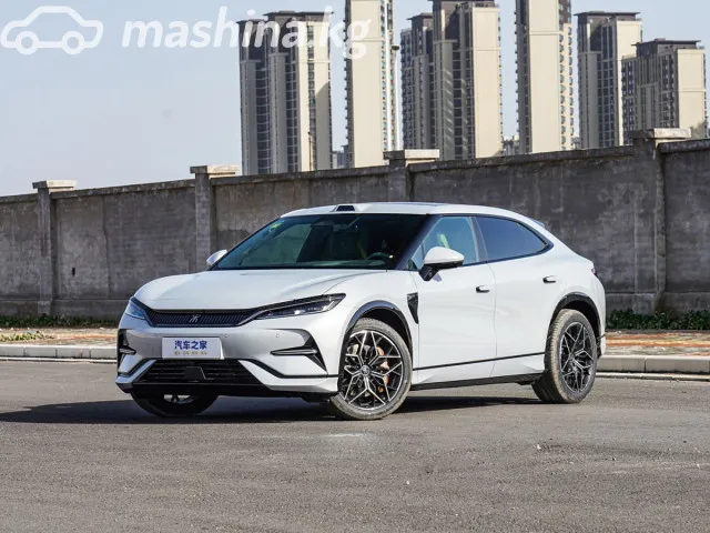 BYD Song L — миниатюра 1