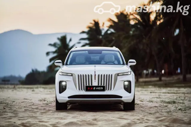 Hongqi E-HS9 — миниатюра 1