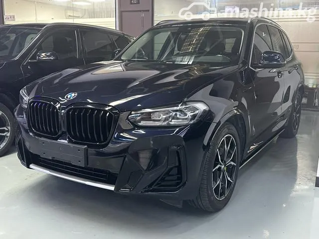 BMW X3 — миниатюра 1