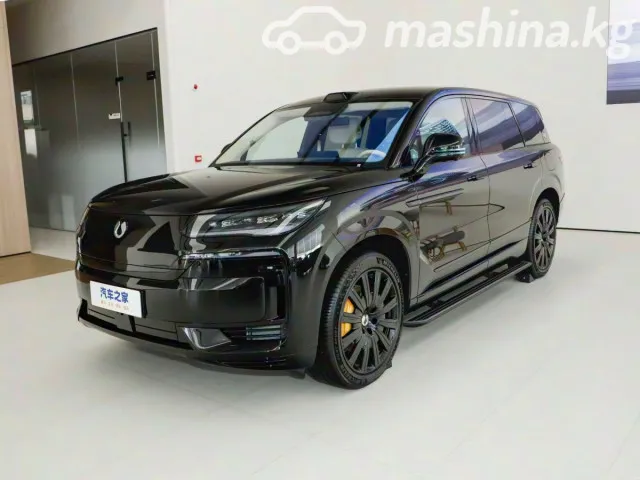 Denza N9 — миниатюра 1