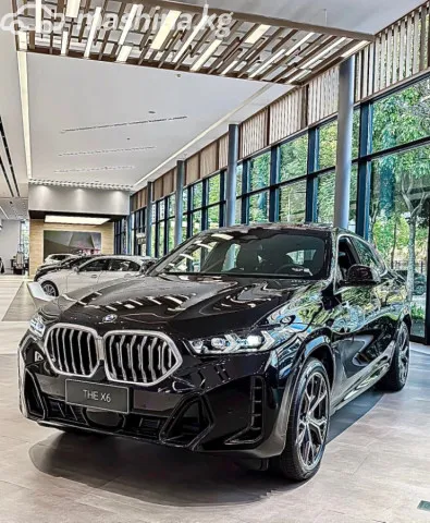 BMW X6 — миниатюра 1