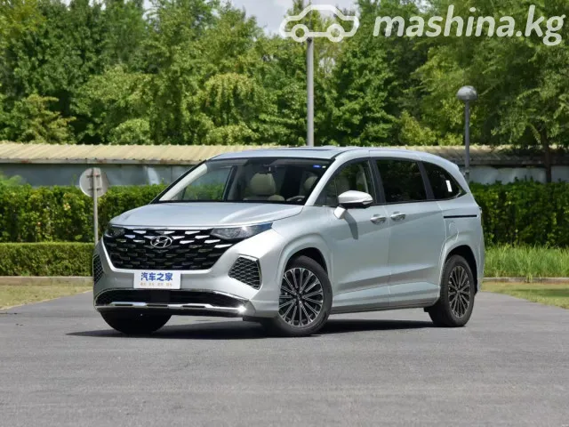 Hyundai Custo — миниатюра 1