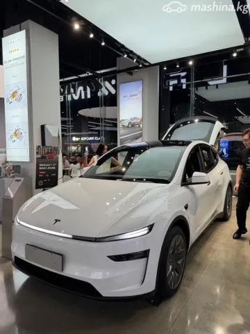 Tesla Model Y — миниатюра 1