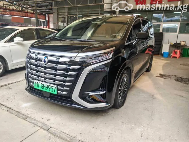 Denza D9 — миниатюра 1