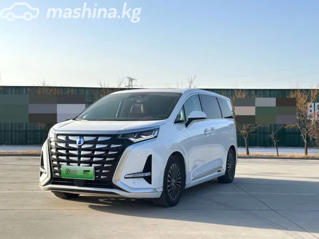 Denza D9 — миниатюра 1