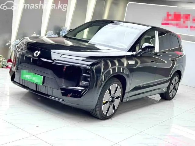 Denza N8 — миниатюра 1