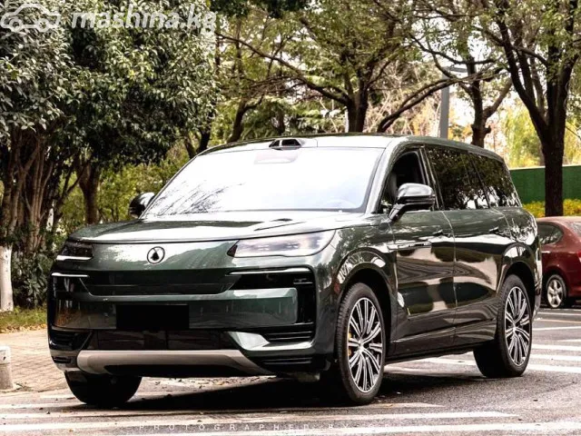 Denza N9 — миниатюра 1