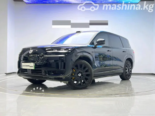 Denza N9 — миниатюра 1