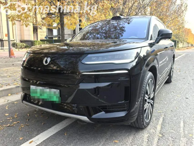 Denza N9 — миниатюра 1