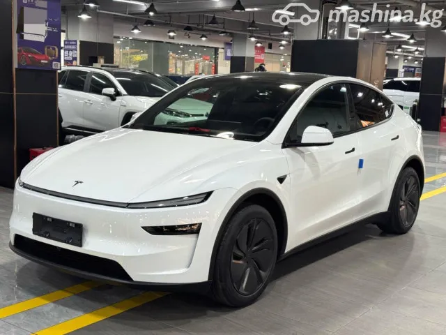 Tesla Model Y — миниатюра 1