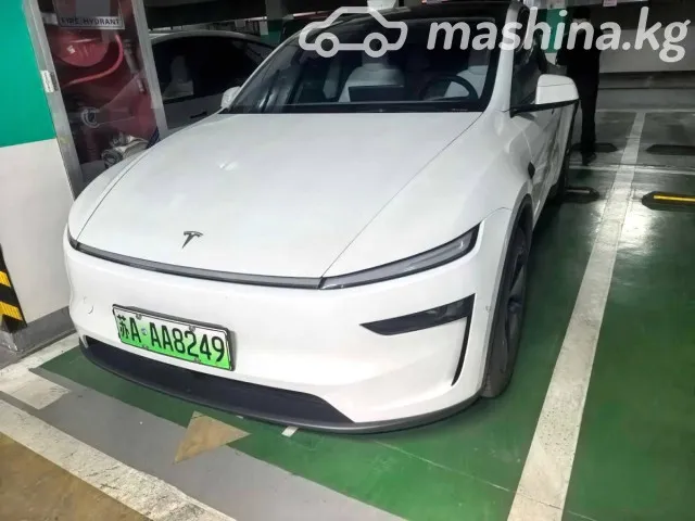 Tesla Model Y — миниатюра 1