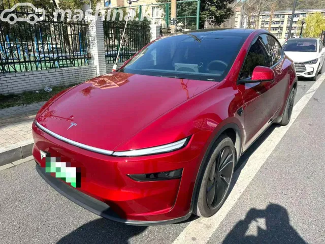 Tesla Model Y — миниатюра 1