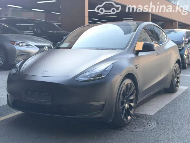 Tesla Model Y — миниатюра 1