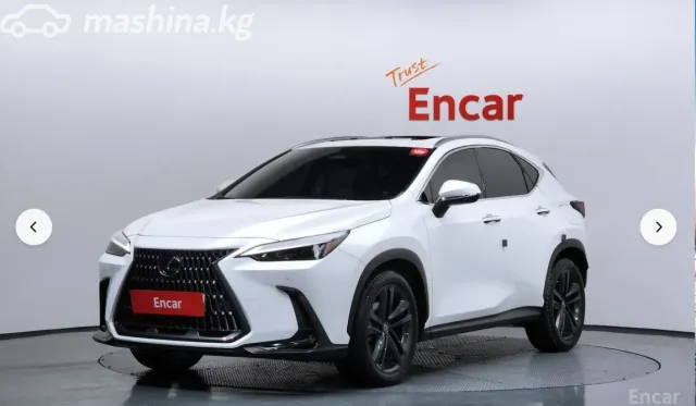 Lexus NX — миниатюра 1