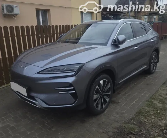BYD Song Plus 2024 — миниатюра 1