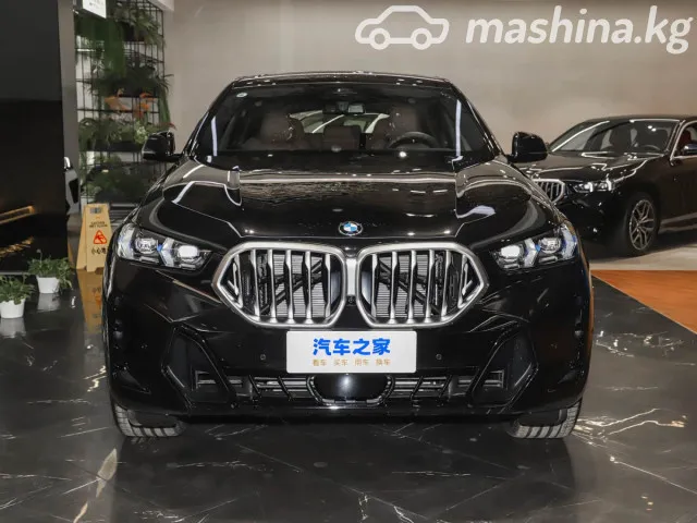 BMW X6 — миниатюра 1