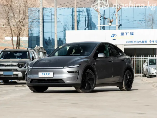 Tesla Model Y — миниатюра 1