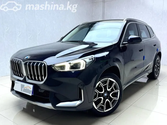 BMW X1 — миниатюра 1
