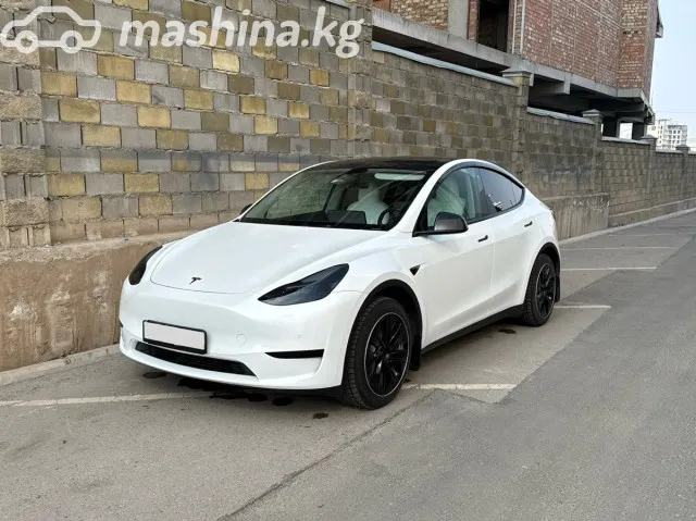 Tesla Model Y — миниатюра 1