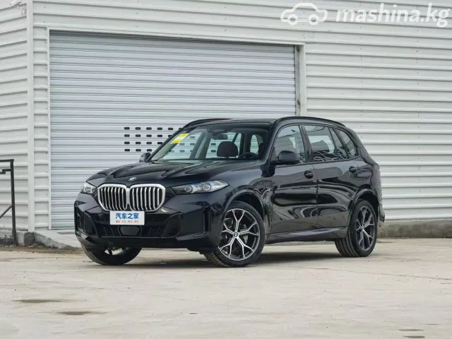 BMW X5 — миниатюра 1