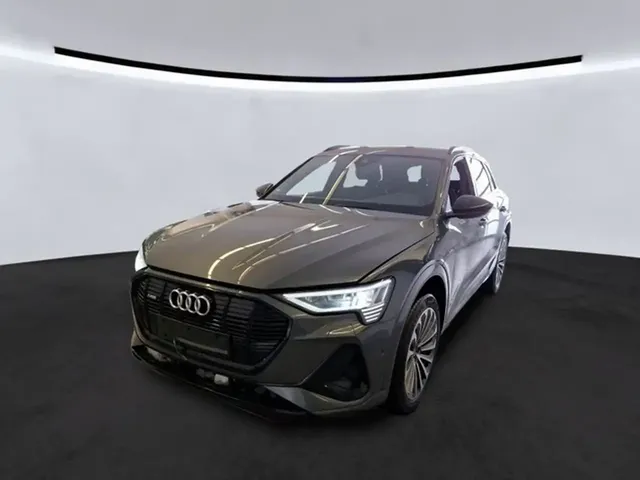 Audi e-tron 50 QU.S-Line Optik schwarz/21/ACC/Matrix/ S-Line — миниатюра 1