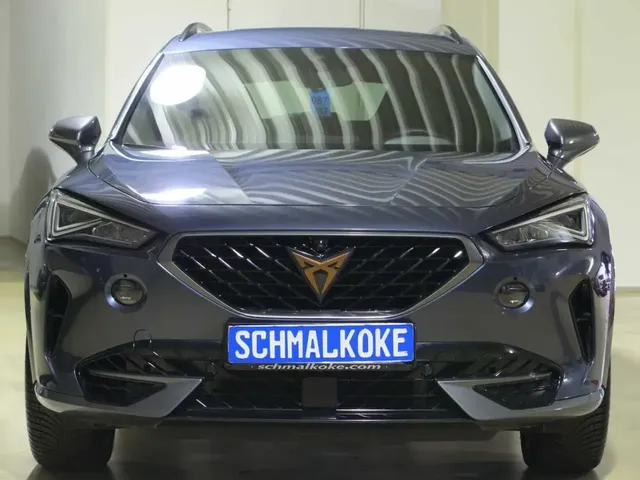 Cupra Formentor VZ 2.0 TSI 4Drive DSG7 Navi ACC LM19 — миниатюра 1