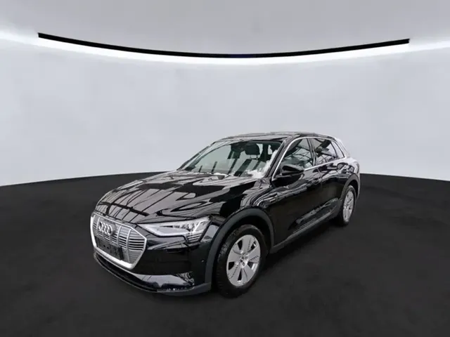 Audi e-tron 55 QU.Panorama/Leder/Kamera/SHZ — миниатюра 1