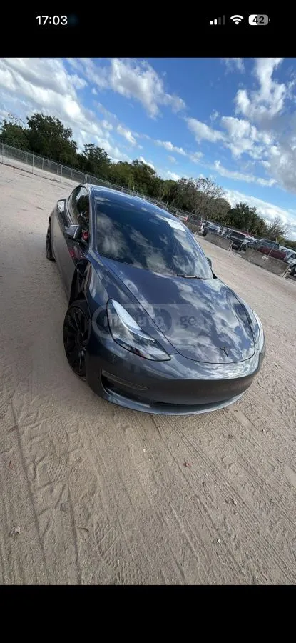 Tesla Performance Dual Motor — миниатюра 1