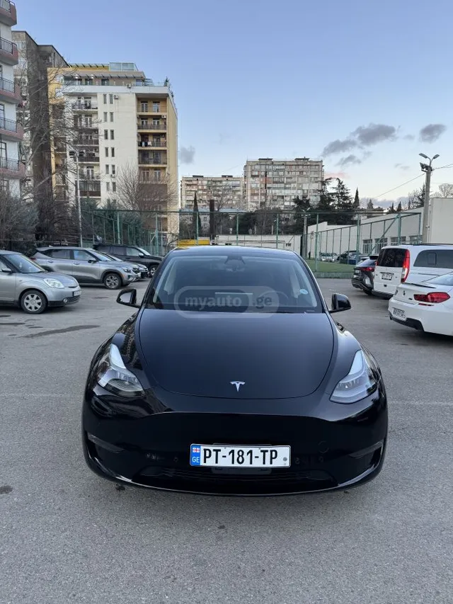 Tesla Performance — миниатюра 1